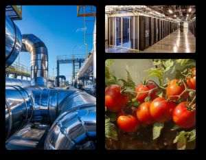 Green Tech International începe construcţia primului complex de sere hidroponice alimentate cu energie geotermală